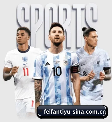 用内容积累长期价值 - FEIFAN SPORTS